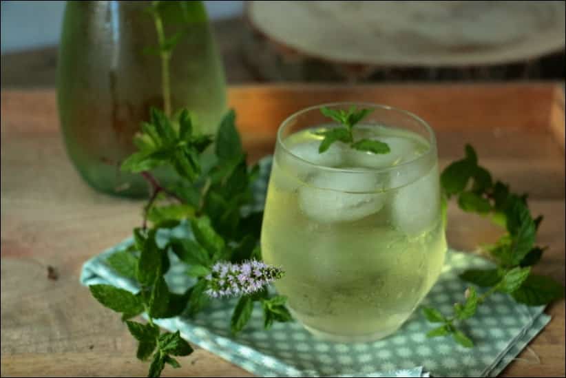 Thé froid maison menthe 3dl